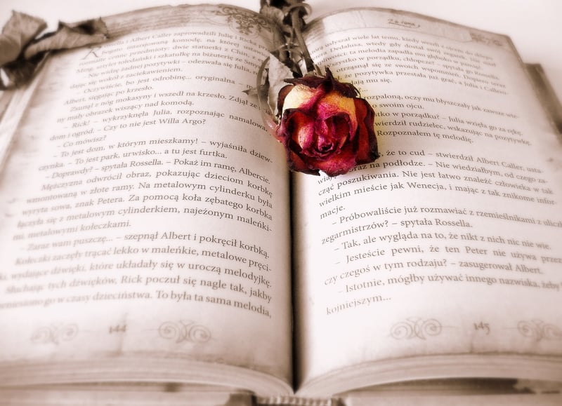 Secret Book